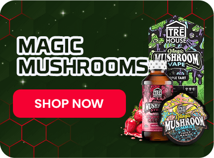 Magic-Mushrooms