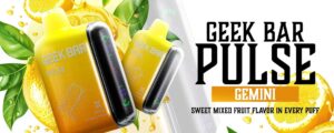 Gemini Geek Bar Pulse