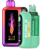DISPOSABLE VAPES
